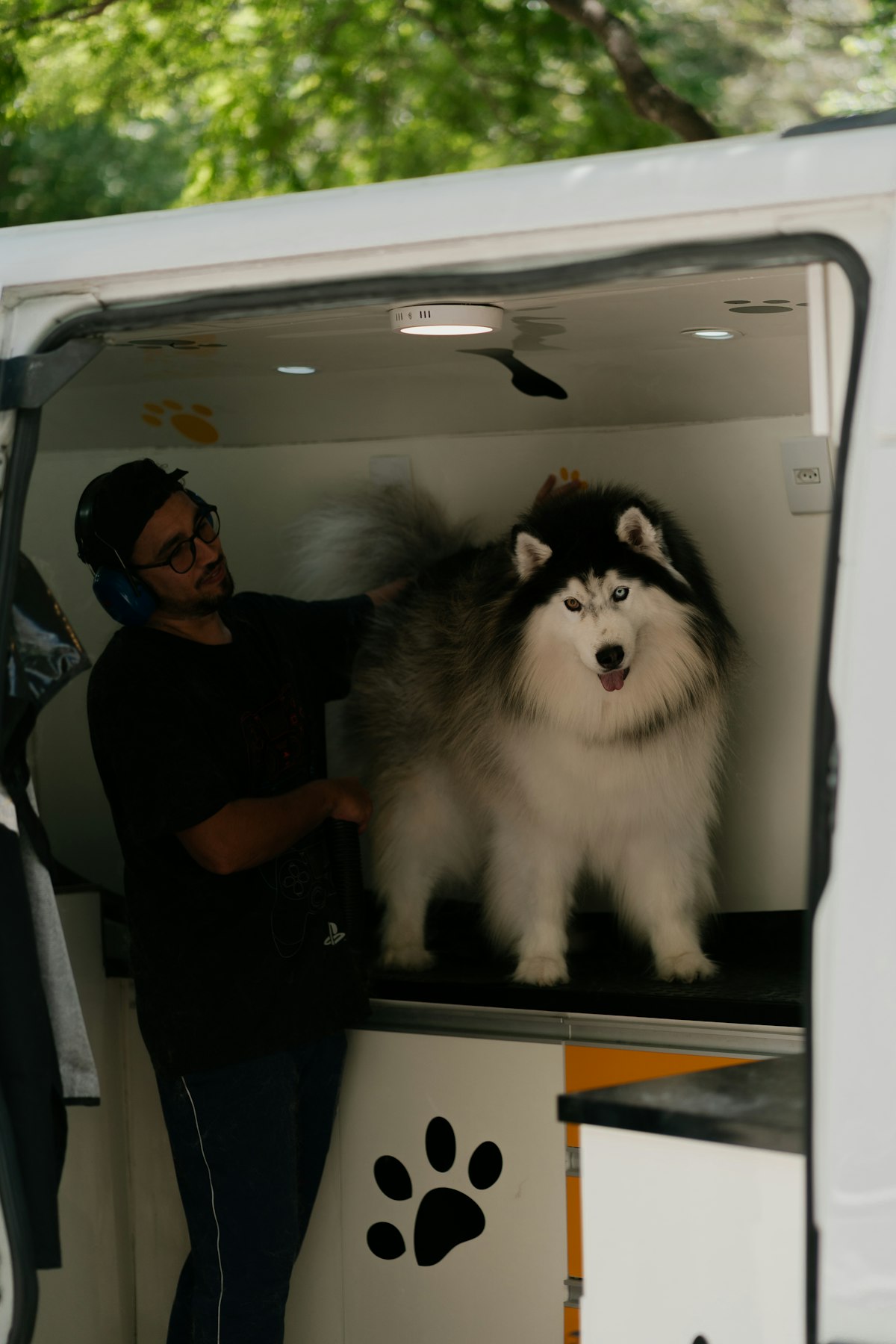 Mobile dog grooming van equipped for on-location pet grooming services